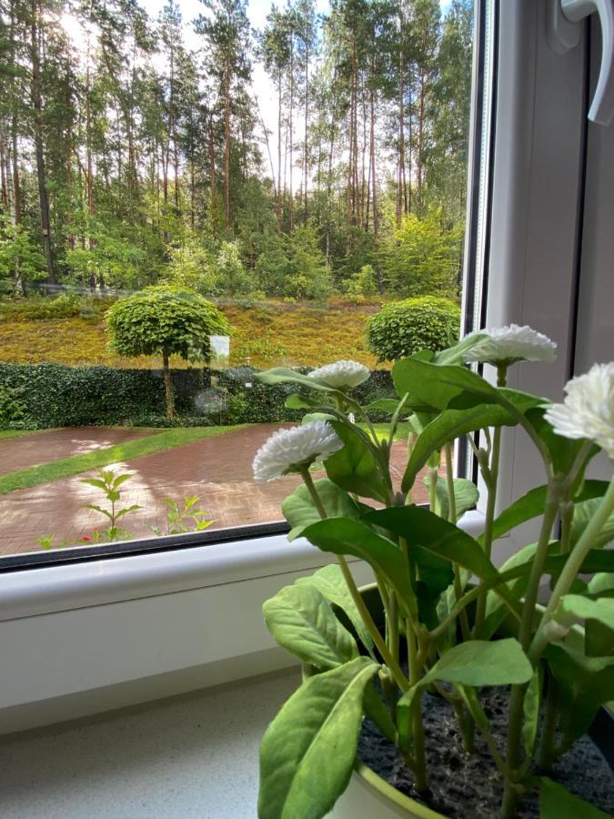 Lesny Apartament オストシツェ エクステリア 写真